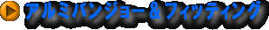 �A���~�o���W���[���t�B�b�e�C���O